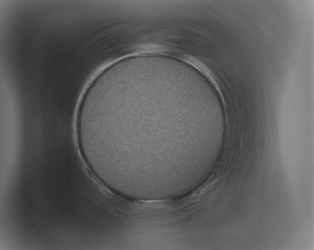 X0000100231488200806201433