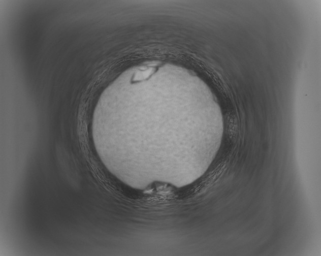 X0000100231489200806201433