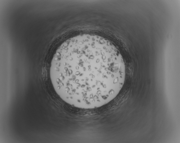 X0000100231493200806201433