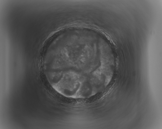 X0000100231494200806201433