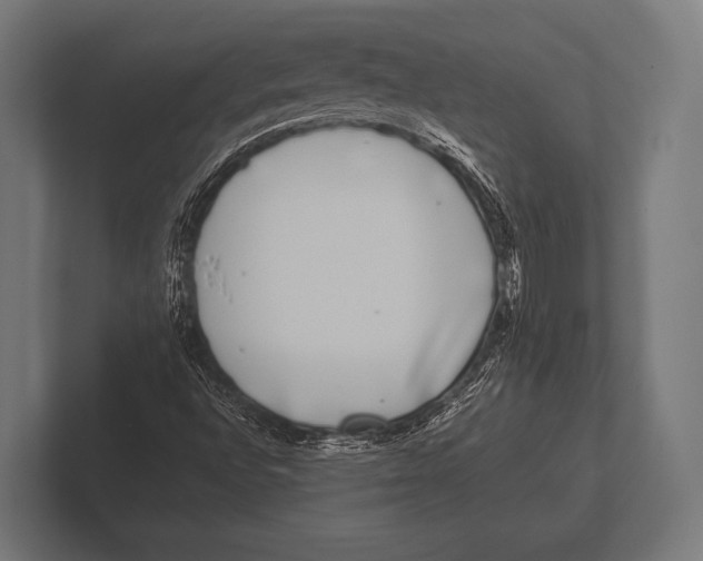 X0000100231496200806201433