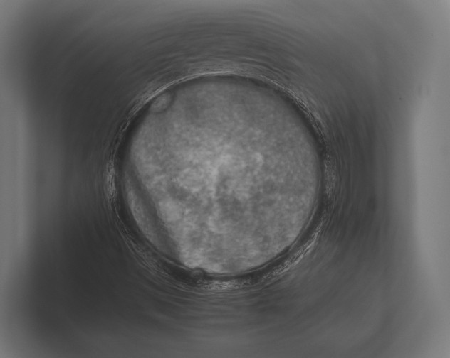 X0000100231497200806201433