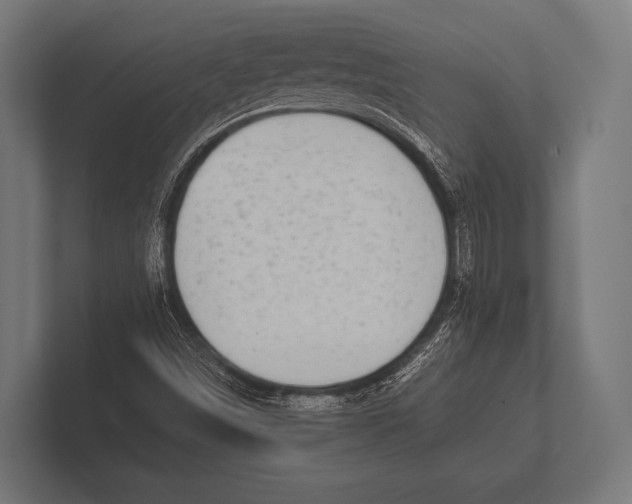 X0000100231498200806201433