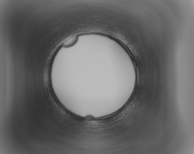 X0000100231500200806201433