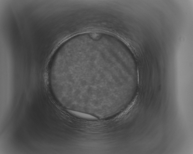 X0000100231501200806201433