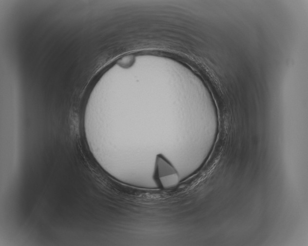 X0000100231505200806201433