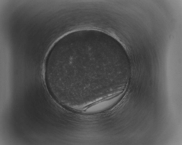 X0000100231508200806201433