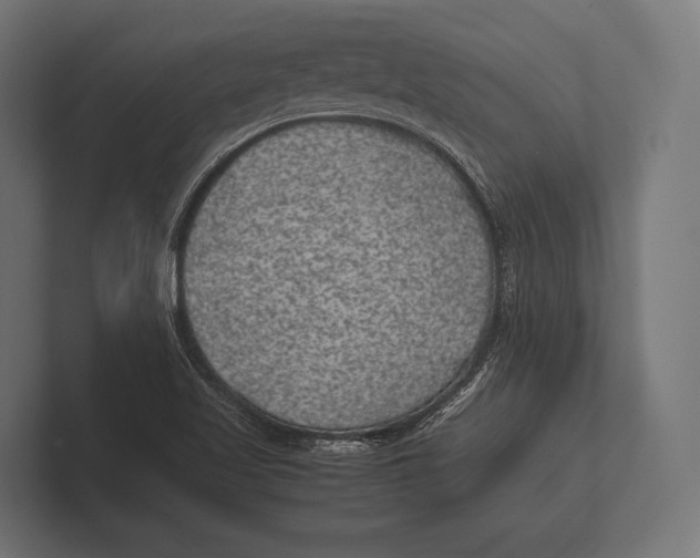 X0000100231509200806201433