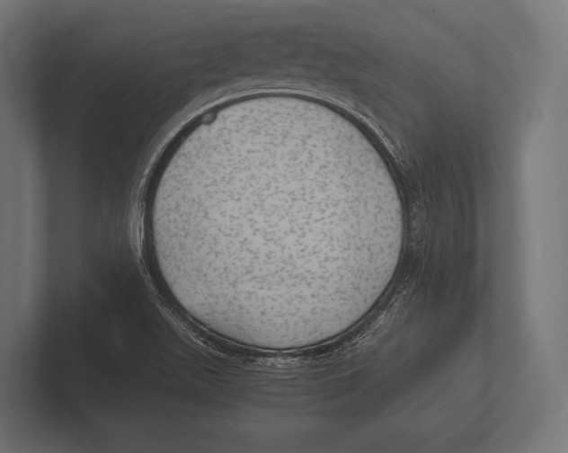 X0000100231511200806201433