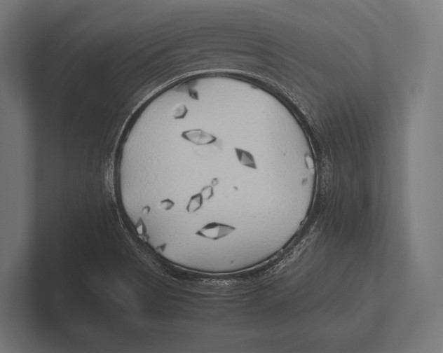 X0000100231513200806201433