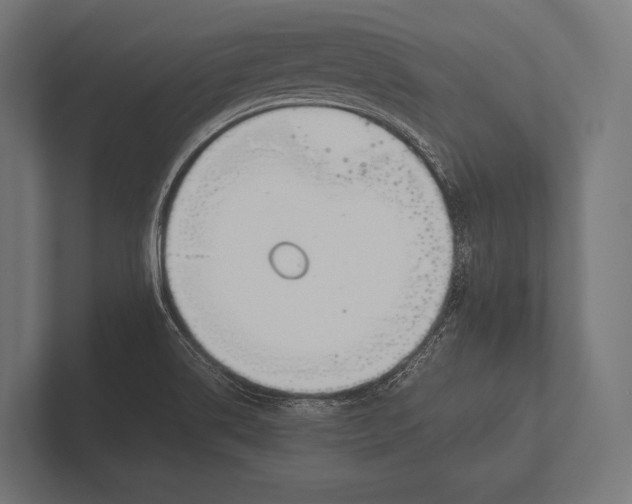 X0000100231514200806201433