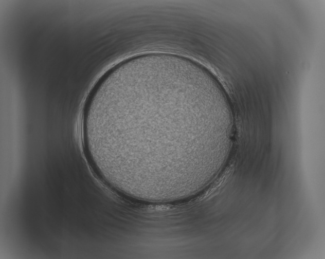 X0000100231515200806201433