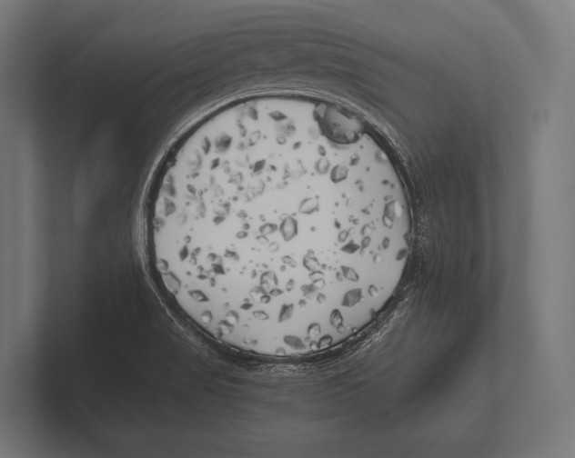 X0000100231517200806201433