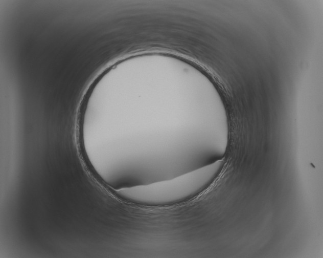 X0000100231518200806201433