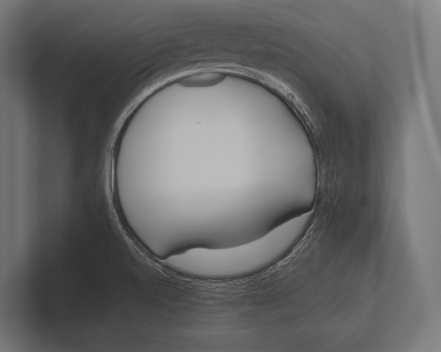 X0000100231520200806201433