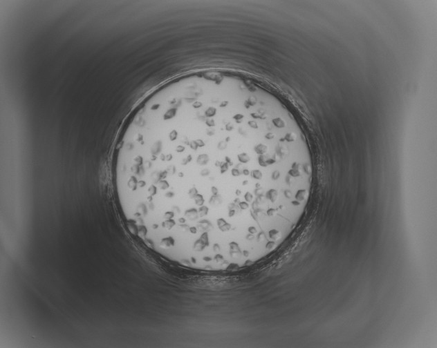 X0000100231521200806201433