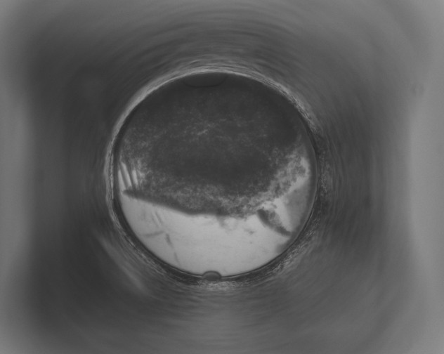 X0000100231522200806201433