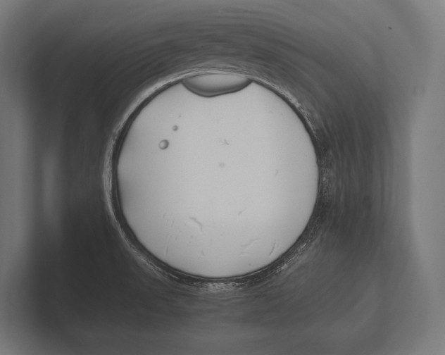 X0000100231523200806201433