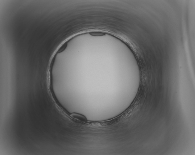 X0000100231524200806201433