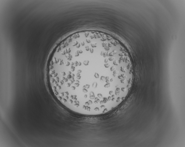 X0000100231525200806201433