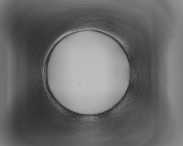 X0000100231526200806201433