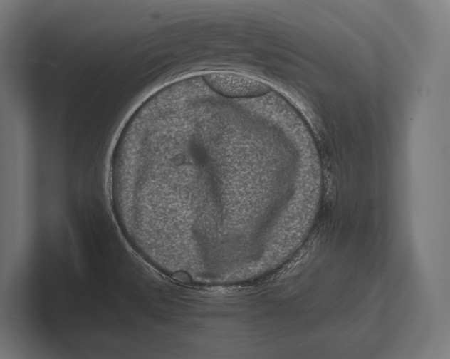 X0000100231527200806201433