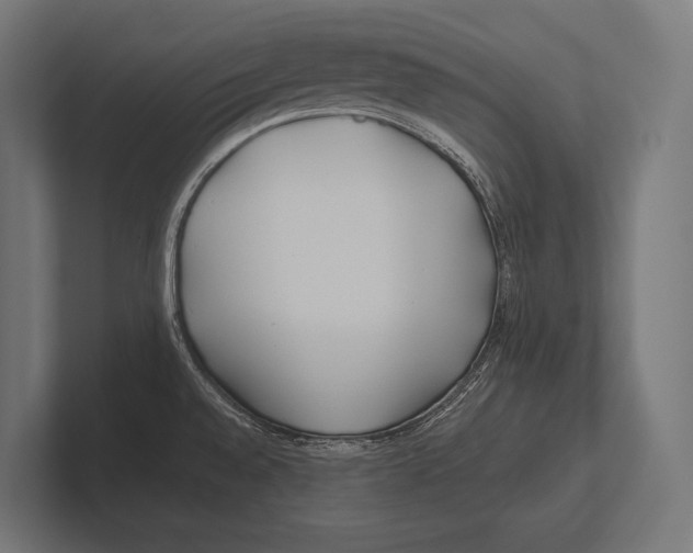 X0000100231528200806201433