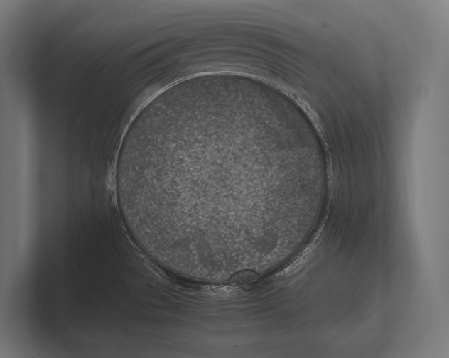 X0000100231529200806201433