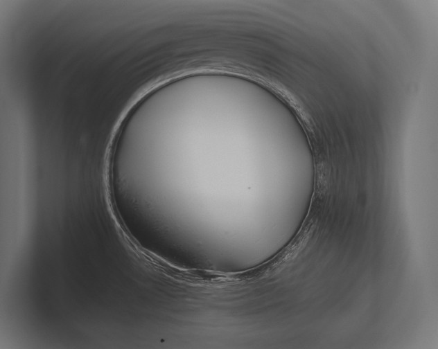 X0000100231530200806201433