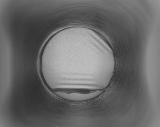 X0000100231531200806201433