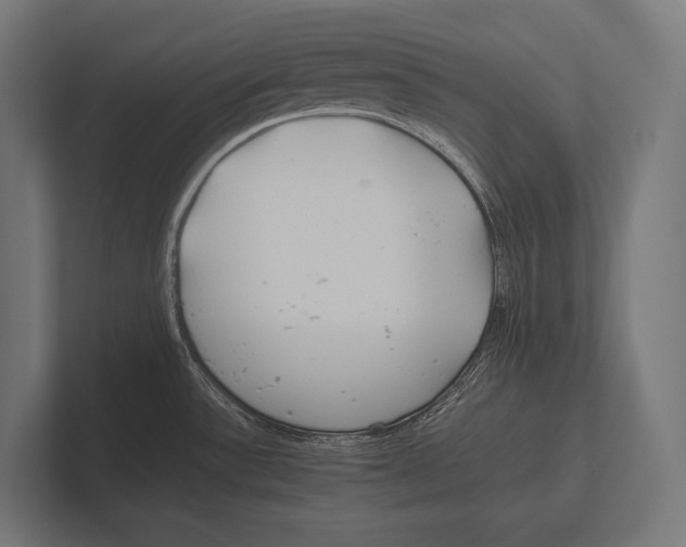 X0000100231532200806201433