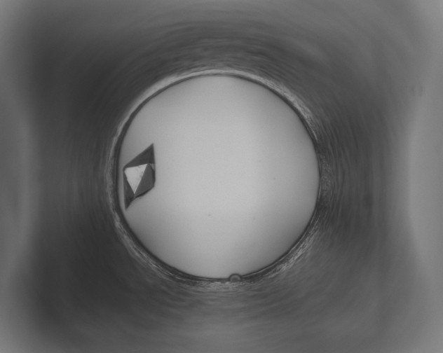 X0000100231534200806201433