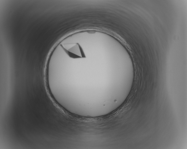 X0000100231536200806201433