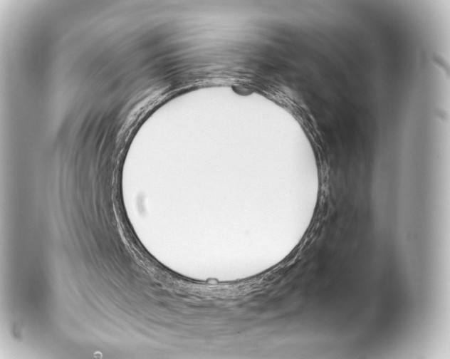 X0000100230001200806271801