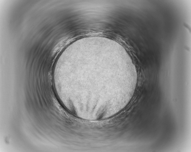 X0000100230002200806271801