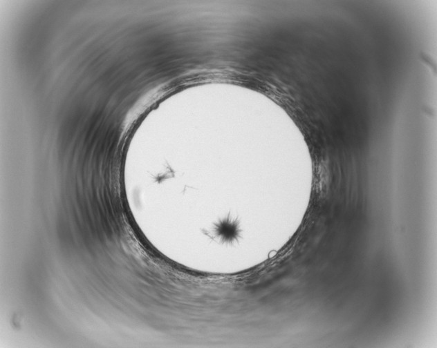 X0000100230004200806271801