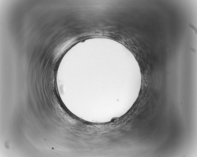 X0000100230005200806271801