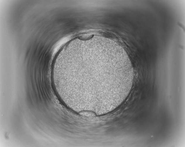 X0000100230006200806271801