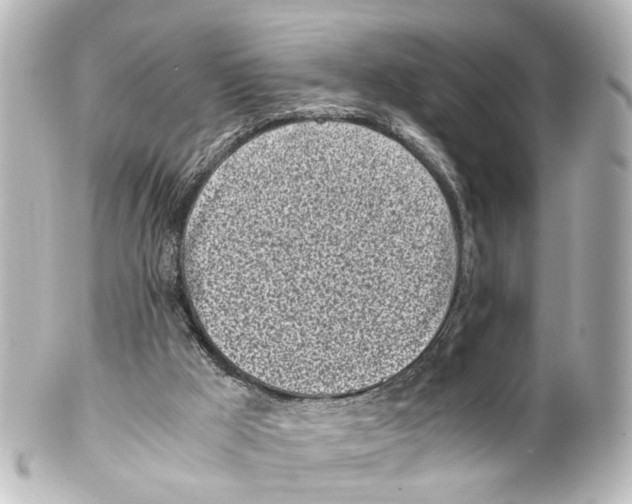 X0000100230009200806271801