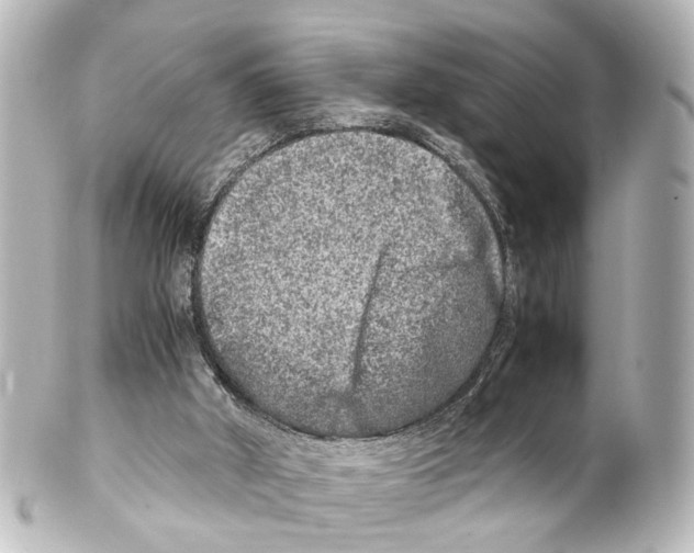 X0000100230010200806271801
