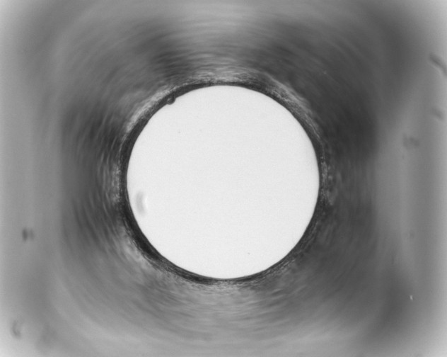 X0000100230012200806271801