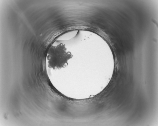 X0000100230013200806271801
