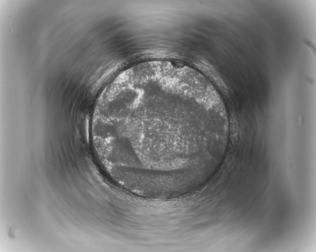 X0000100230014200806271801
