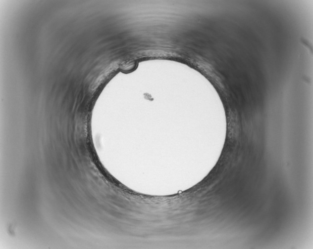 X0000100230015200806271801