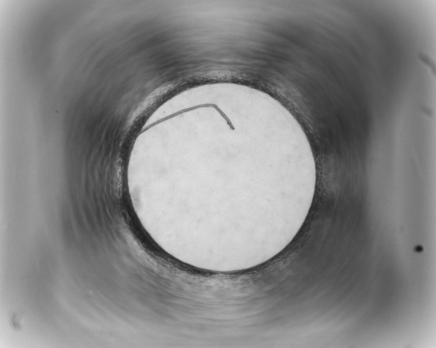 X0000100230016200806271801