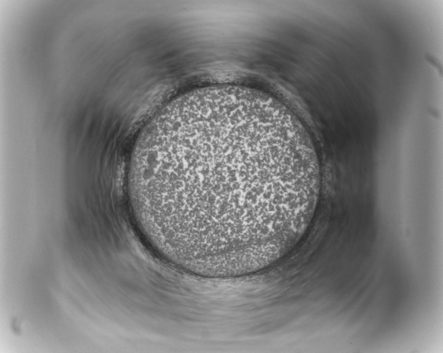 X0000100230018200806271801
