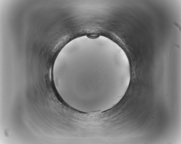 X0000100230019200806271801