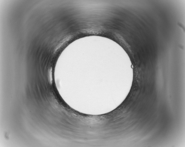 X0000100230020200806271801
