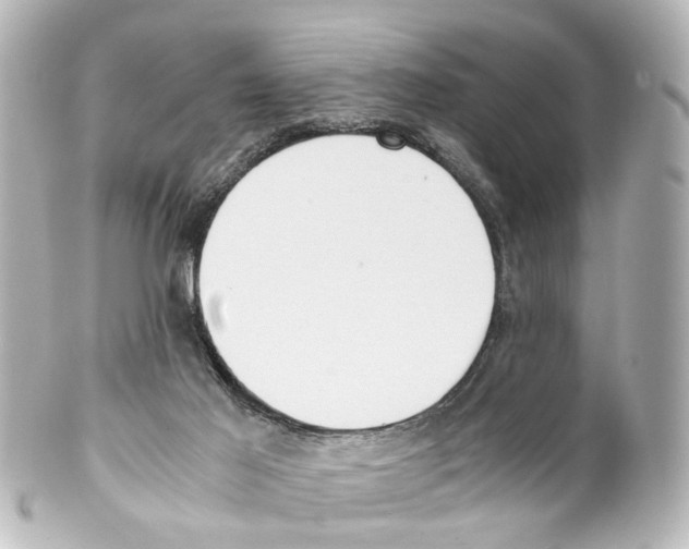 X0000100230021200806271801