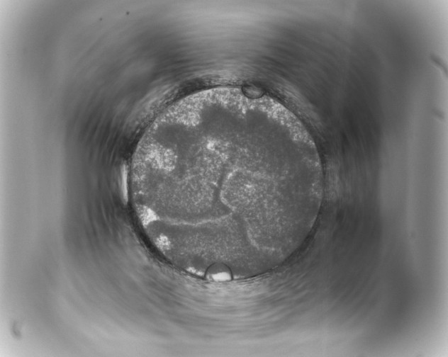 X0000100230022200806271800